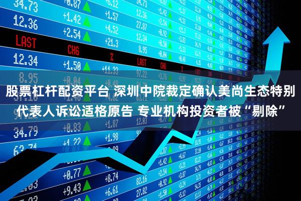股票杠杆配资平台 深圳中院裁定确认美尚生态特别代表人诉讼适格原告 专业机构投资者被“剔除”