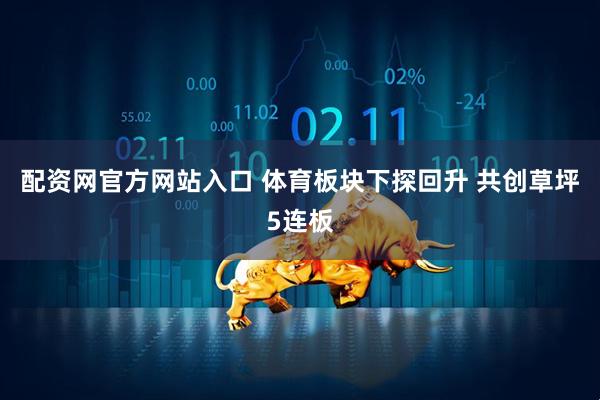 配资网官方网站入口 体育板块下探回升 共创草坪5连板