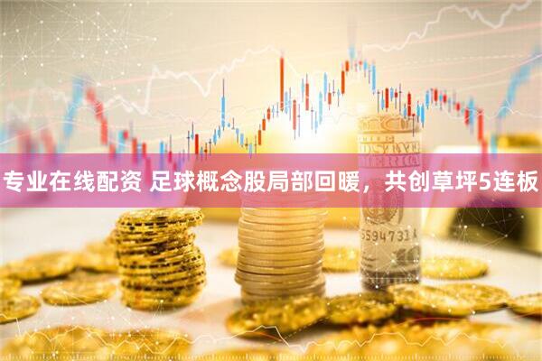 专业在线配资 足球概念股局部回暖，共创草坪5连板