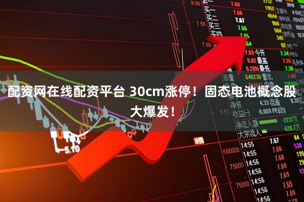 配资网在线配资平台 30cm涨停！固态电池概念股大爆发！